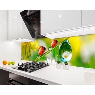 Наклейка на кухонний фартух 60 х 250 см, з фотодруком та захисною ламінацією бедрики (БП-s_an023-1) - Інтернет-магазин спільних покупок ToGether