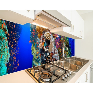 Наклейка на кухонний фартух 60 х 250 см, з фотодруком та захисною ламінацією підводний світ (БП-s_an036-1) - Інтернет-магазин спільних покупок ToGether