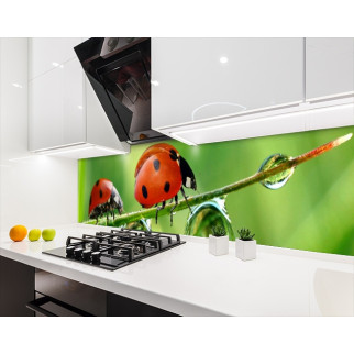 Наклейка на кухонний фартух 60 х 200 см, з фотодруком та захисною ламінацією з бедриками (БП-s_an118) - Інтернет-магазин спільних покупок ToGether