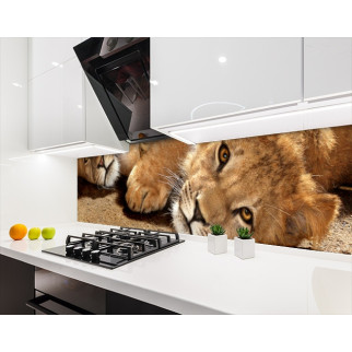 Наклейка на кухонний фартух 65 х 250 см, з фотодруком та захисною ламінацією леви (БП-s_an119-2) - Інтернет-магазин спільних покупок ToGether