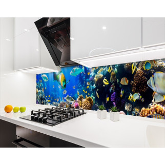 Наклейка на кухонний фартух 60 х 200 см, з фотодруком та захисною ламінацією підводні мешканці (БП-s_an145) - Інтернет-магазин спільних покупок ToGether