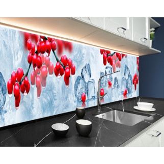 Наклейка на кухонний фартух 60 х 250 см, з фотодруком та захисною ламінацією горобина в кубиках льоду (БП-s_ed583-1) - Інтернет-магазин спільних покупок ToGether