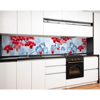 Наклейка на кухонний фартух 65 х 300 см, з фотодруком та захисною ламінацією горобина в кубиках льоду (БП-s_ed583-4) - Інтернет-магазин спільних покупок ToGether