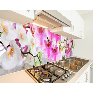 Наклейка на кухонний фартух 60 х 200 см, з фотодруком та захисною ламінацією орхідеї біло рожеві (БП-s_fl087) - Інтернет-магазин спільних покупок ToGether