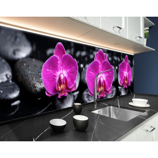 Наклейка на кухонний фартух 65 х 300 см, з фотодруком та захисною ламінацією орхідеї на камінні (БП-s_fl11240-4) - Інтернет-магазин спільних покупок ToGether