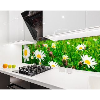 Наклейка на кухонний фартух 60 х 200 см, з фотодруком та захисною ламінацією ромашки (БП-s_fl11399) - Інтернет-магазин спільних покупок ToGether