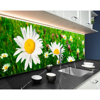 Наклейка на кухонний фартух 60 х 300 см, з фотодруком та захисною ламінацією ромашки (БП-s_fl11399-3) - Інтернет-магазин спільних покупок ToGether