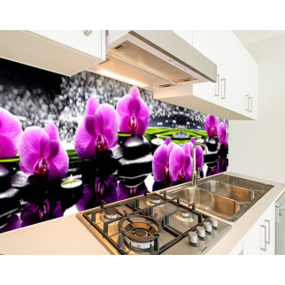 Наклейка на кухонний фартух 60 х 250 см, з фотодруком та захисною ламінацією орхідеї на камінні (БП-s_fl11567-1) - Інтернет-магазин спільних покупок ToGether