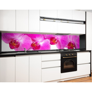 Наклейка на кухонний фартух 60 х 200 см, з фотодруком та захисною ламінацією орхідеї рожеві (БП-s_fl11611) - Інтернет-магазин спільних покупок ToGether