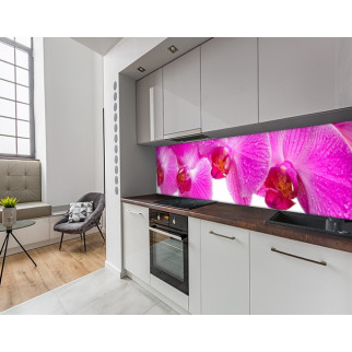 Наклейка на кухонний фартух 60 х 250 см, з фотодруком та захисною ламінацією орхідеї рожеві (БП-s_fl11611-1) - Інтернет-магазин спільних покупок ToGether