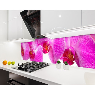 Наклейка на кухонний фартух 60 х 300 см, з фотодруком та захисною ламінацією орхідеї рожеві (БП-s_fl11611-3) - Інтернет-магазин спільних покупок ToGether