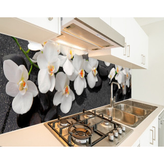 Наклейка на кухонний фартух 60 х 250 см, з фотодруком та захисною ламінацією орхідеї з камінням (БП-s_fl11683-1) - Інтернет-магазин спільних покупок ToGether