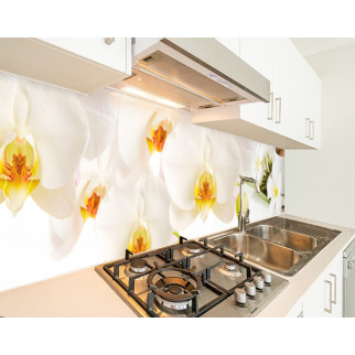 Наклейка на кухонний фартух 65 х 250 см, з фотодруком та захисною ламінацією орхідеї та кава (БП-s_fl11687-2) - Інтернет-магазин спільних покупок ToGether