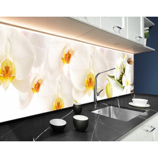 Наклейка на кухонний фартух 65 х 300 см, з фотодруком та захисною ламінацією орхідеї та кава (БП-s_fl11687-4) - Інтернет-магазин спільних покупок ToGether
