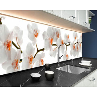 Наклейка на кухонний фартух 60 х 200 см, з фотодруком та захисною ламінацією орхідеї білі (БП-s_fl11723) - Інтернет-магазин спільних покупок ToGether