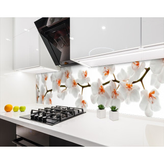 Наклейка на кухонний фартух 60 х 250 см, з фотодруком та захисною ламінацією орхідеї білі (БП-s_fl11723-1) - Інтернет-магазин спільних покупок ToGether