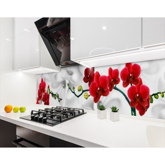 Наклейка на кухонний фартух 60 х 250 см, з фотодруком та захисною ламінацією орхідеї на білому атласі (БП-s_fl11728-1) - Інтернет-магазин спільних покупок ToGether