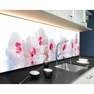 Наклейка на кухонний фартух 60 х 300 см, з фотодруком та захисною ламінацією білі орхідеї на воді (БП-s_fl11742-3) - Інтернет-магазин спільних покупок ToGether