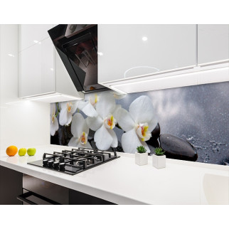 Наклейка на кухонний фартух 60 х 300 см, з фотодруком та захисною ламінацією орхідеї на камінні (БП-s_fl11743-3) - Інтернет-магазин спільних покупок ToGether