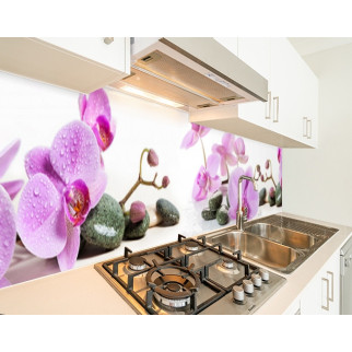 Наклейка на кухонний фартух 60 х 250 см, з фотодруком та захисною ламінацією орхідеї на білому тлі (БП-s_fl11748-1) - Інтернет-магазин спільних покупок ToGether