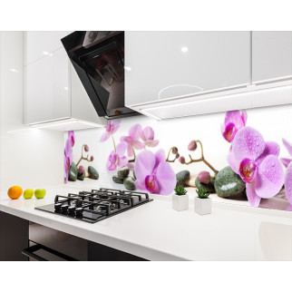Наклейка на кухонний фартух 65 х 250 см, з фотодруком та захисною ламінацією орхідеї на білому тлі (БП-s_fl11748-2) - Інтернет-магазин спільних покупок ToGether
