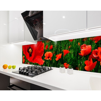 Наклейка на кухонний фартух 60 х 200 см, з фотодруком та захисною ламінацією маки червоні у полі (БП-s_fl137) - Інтернет-магазин спільних покупок ToGether