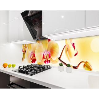 Наклейка на кухонний фартух 60 х 200 см, з фотодруком та захисною ламінацією орхідеї жовті (БП-s_fl203) - Інтернет-магазин спільних покупок ToGether