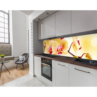 Наклейка на кухонний фартух 65 х 250 см, з фотодруком та захисною ламінацією орхідеї жовті (БП-s_fl203-2) - Інтернет-магазин спільних покупок ToGether