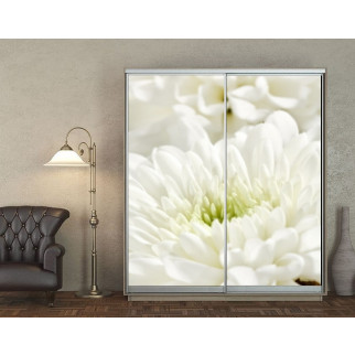 Наклейка на шафу-купе 220 х 102 см на 2  двері білі квіти (БП_а_fl10615) - Інтернет-магазин спільних покупок ToGether