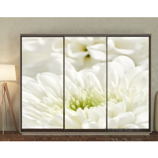 Наклейка на шафу-купе 220 х 102 см на 3  двері білі квіти (БП_в_fl10615) - Інтернет-магазин спільних покупок ToGether