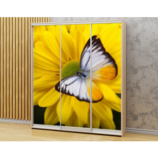 Наклейка на шафу-купе 220 х 60 см на 3  двері Квіти з метеликами (БП_в_fl10619) - Інтернет-магазин спільних покупок ToGether