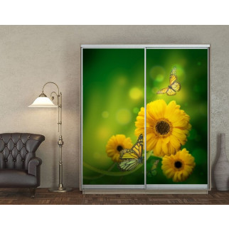 Наклейка на шафу-купе 220 х 102 см на 2  двері Метелики на квітці (БП_а_fl10634) - Інтернет-магазин спільних покупок ToGether