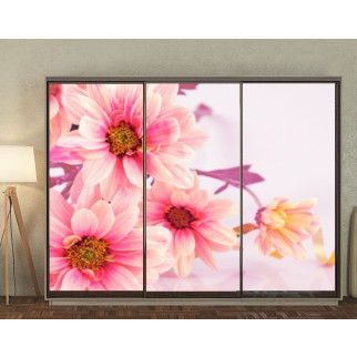 Наклейка на шафу-купе 220 х 74 см на 3  двері Рожеві квіти хризантеми (БП_в_fl10649) - Інтернет-магазин спільних покупок ToGether