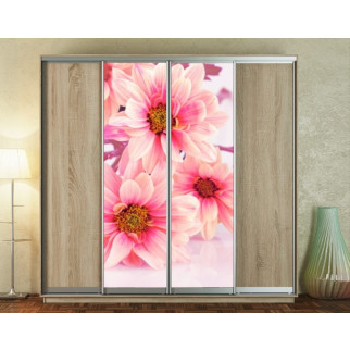 Наклейка на шафу-купе 220 х 60 см на 2  двері Рожеві квіти хризантеми (БП_а_fl10649) - Інтернет-магазин спільних покупок ToGether