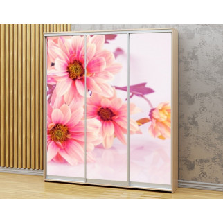 Наклейка на шафу-купе 220 х 60 см на 3  двері Рожеві квіти хризантеми (БП_в_fl10649) - Інтернет-магазин спільних покупок ToGether
