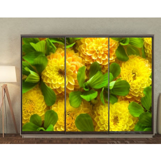 Наклейка на шафу-купе 220 х 102 см на 3  двері жовті квіти (БП_в_fl10753) - Інтернет-магазин спільних покупок ToGether