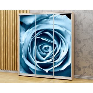 Наклейка на шафу-купе 220 х 60 см на 3  двері Блакитна троянда (БП_в_fl10810) - Інтернет-магазин спільних покупок ToGether