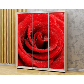 Наклейка на шафу-купе 220 х 60 см на 3  двері Троянда з краплями (БП_в_fl10811) - Інтернет-магазин спільних покупок ToGether