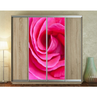Наклейка на шафу-купе 220 х 60 см на 2  двері рожева троянда (БП_а_fl10854) - Інтернет-магазин спільних покупок ToGether