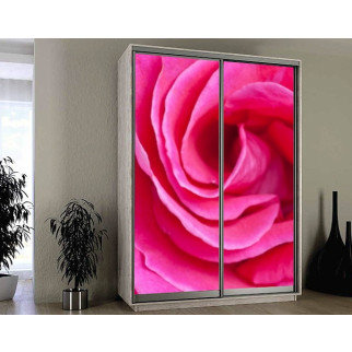 Наклейка на шафу-купе 220 х 74 см на 2  двері рожева троянда (БП_а_fl10854) - Інтернет-магазин спільних покупок ToGether