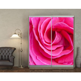 Наклейка на шафу-купе 220 х 102 см на 2  двері рожева троянда (БП_а_fl10854) - Інтернет-магазин спільних покупок ToGether