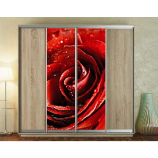 Наклейка на шафу-купе 220 х 60 см на 2  двері Червона троянда (БП_а_fl10986) - Інтернет-магазин спільних покупок ToGether