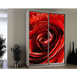 Наклейка на шафу-купе 220 х 74 см на 2  двері Червона троянда (БП_а_fl10986) - Інтернет-магазин спільних покупок ToGether