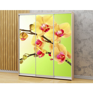 Наклейка на шафу-купе 220 х 60 см на 3  двері Гілка орхідеї (БП_в_fl12068) - Інтернет-магазин спільних покупок ToGether