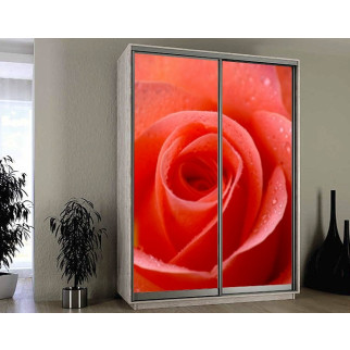 Наклейка на шафу-купе 220 х 74 см на 2  двері Червона троянда (БП_а_fl12205) - Інтернет-магазин спільних покупок ToGether