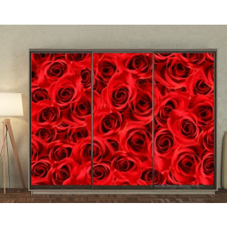Наклейка на шафу-купе 220 х 102 см на 3  двері червоні троянди (БП_в_fl12424) - Інтернет-магазин спільних покупок ToGether