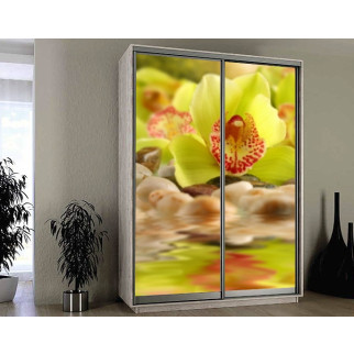Наклейка на шафу-купе 220 х 74 см на 2  двері Салатна орхідея (БП_а_fl12455) - Інтернет-магазин спільних покупок ToGether