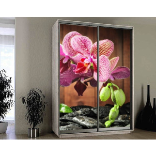 Наклейка на шафу-купе 220 х 74 см на 2  двері Гілка орхідеї (БП_а_fl12518) - Інтернет-магазин спільних покупок ToGether