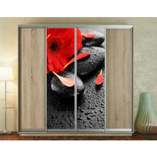 Наклейка на шафу-купе 220 х 60 см на 2 двері  Спа камені та червона квітка (БП_а_fl13102) - Інтернет-магазин спільних покупок ToGether