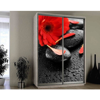 Наклейка на шафу-купе 220 х 74 см на 2 двері  Спа камені та червона квітка (БП_а_fl13102) - Інтернет-магазин спільних покупок ToGether